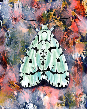 moth art print green marvel moth on pink