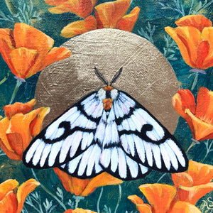 white moth painting orange poppies gold leaf halo detail