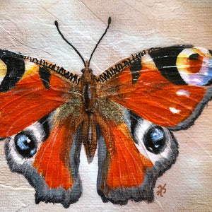 red peacock butterfly round painting texture detail