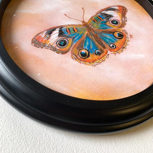 blue buckeye butterfly painting in round black frame detail