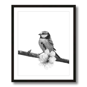 songbird charcoal art print framed 16x20