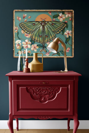 Spanish moon moth art print with blossoms in gold frame on wall by Aimee Schreiber