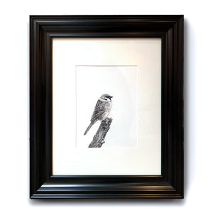 sparrow charcoal drawing in black frame