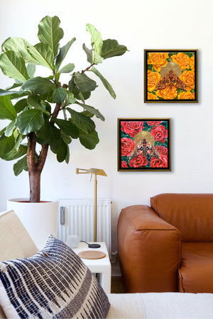 sphinx moth and roses paintings on wall