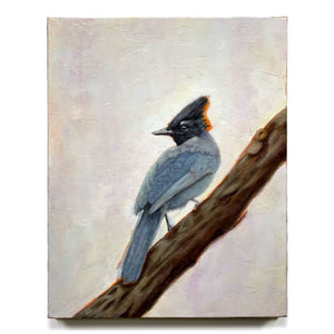 stellar's jay bird painting on canvas