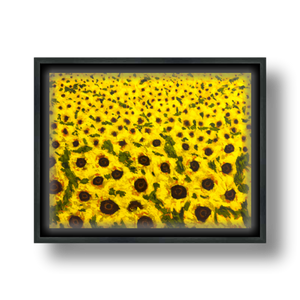 sunflower field art print on canvas in float frame 11x14