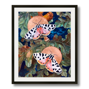 tiger moth art print framed 16x20