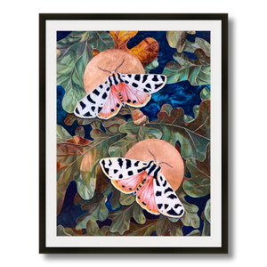 tiger moth art print framed 18x24