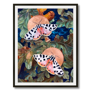 tiger moth art print framed 24x32