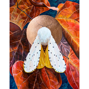 transform white moth art print red leaves