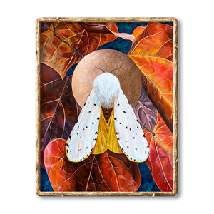 transform white moth art print red leaves framed