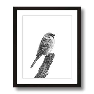 tree sparrow charcoal art print framed 11x14