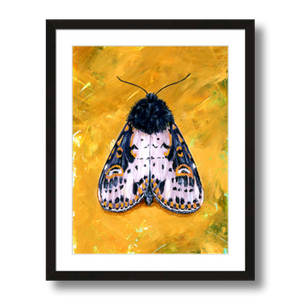 yellow spanish moth art print framed 12x16