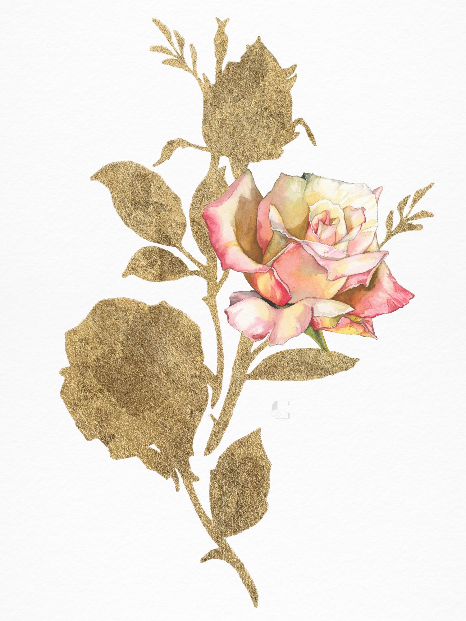 rose watercolor painting with gold leaf