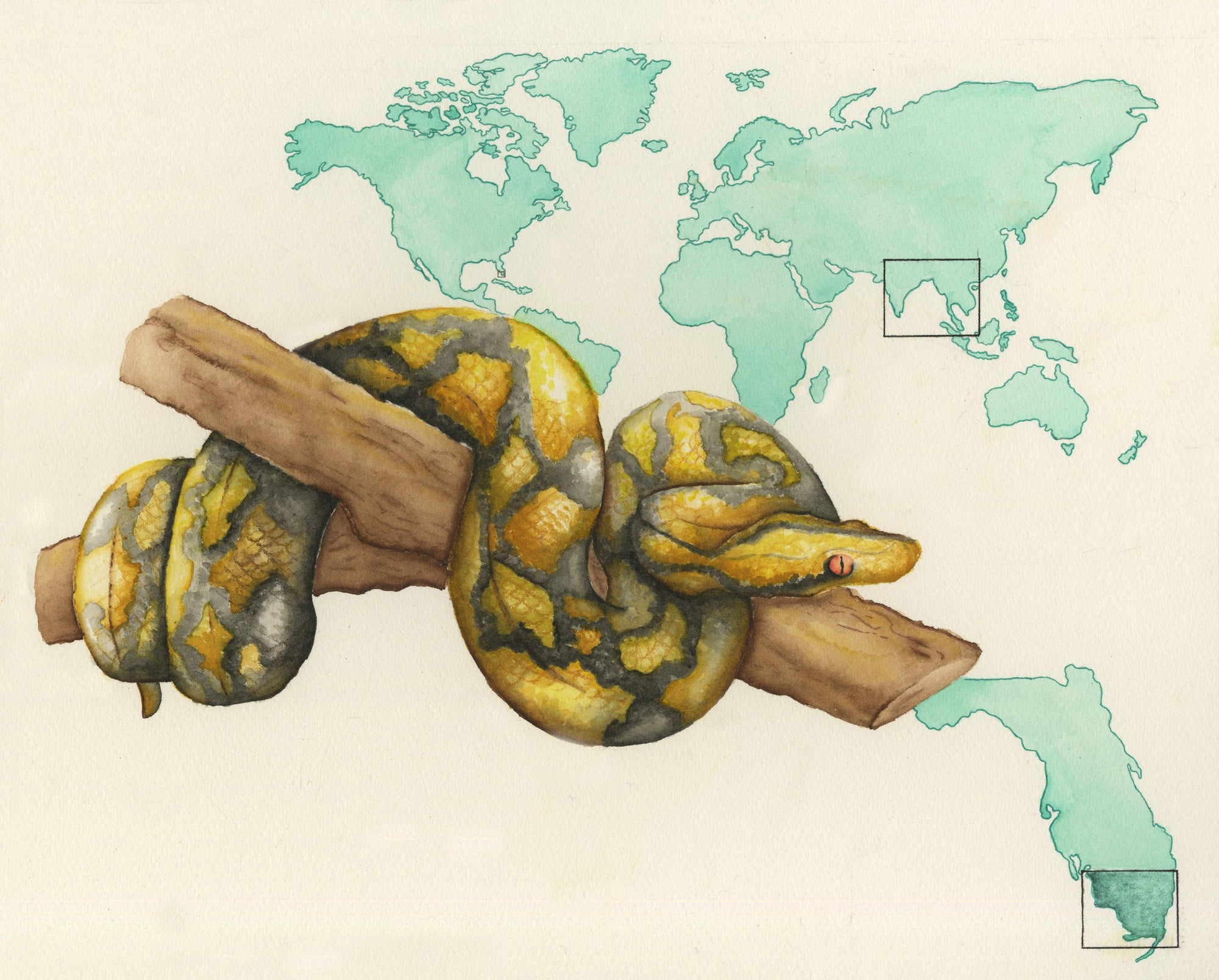 python snake watercolor painting