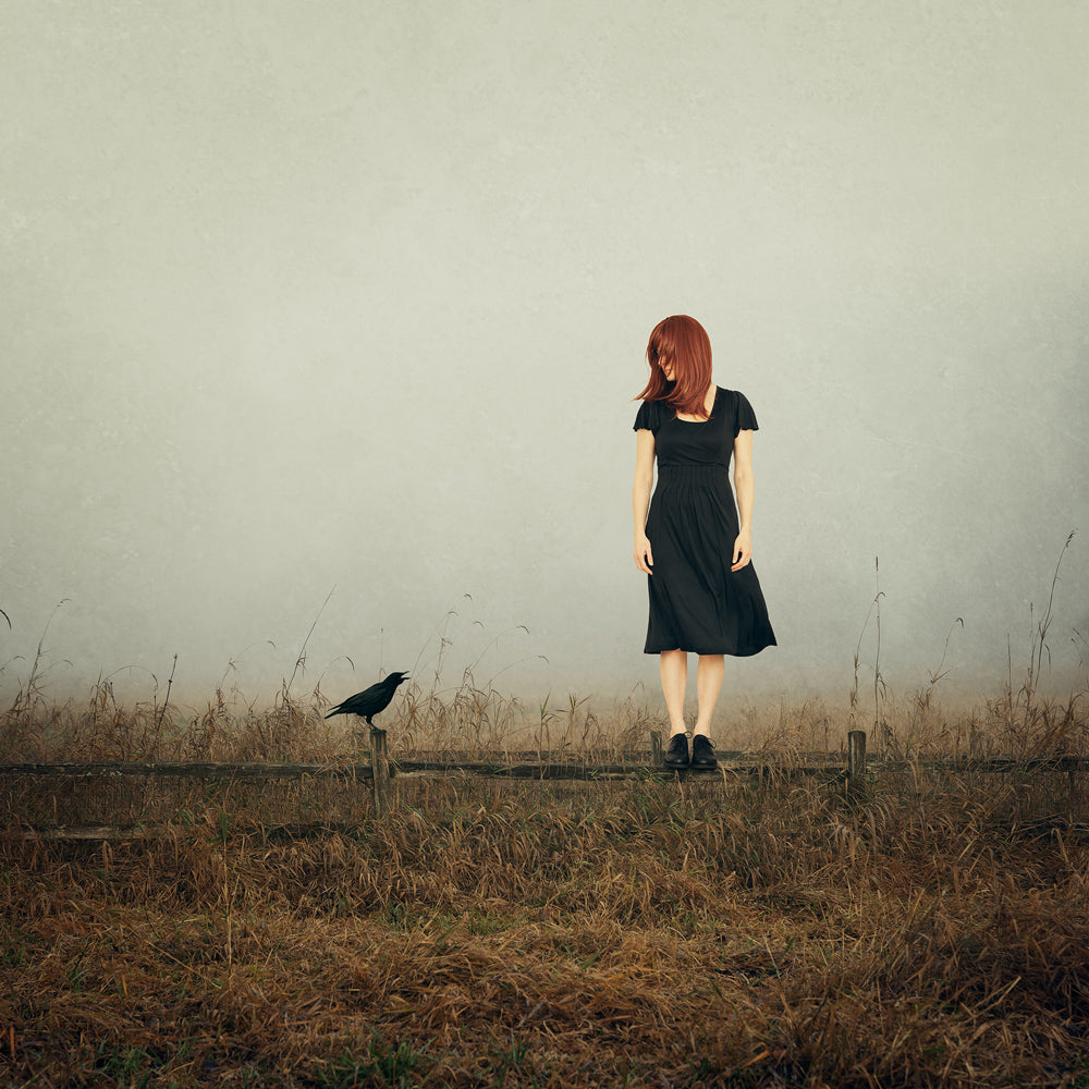"The Messenger" by Stacy Honda