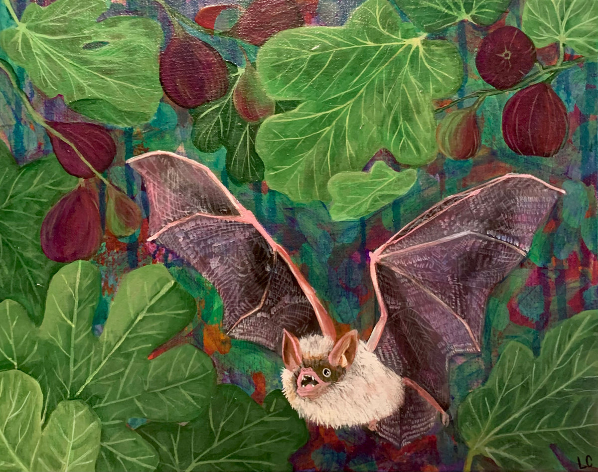 "Fruit Bat" by Lucy-Kate Culverhouse
