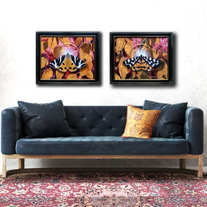 2 tiger moth paintings with gold leaf hanging on wall