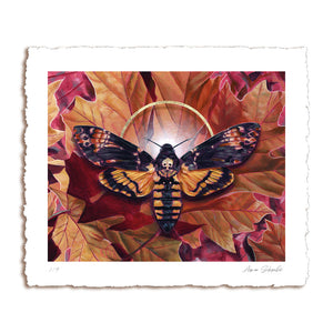 24K gold limited edition deaths head moth art print