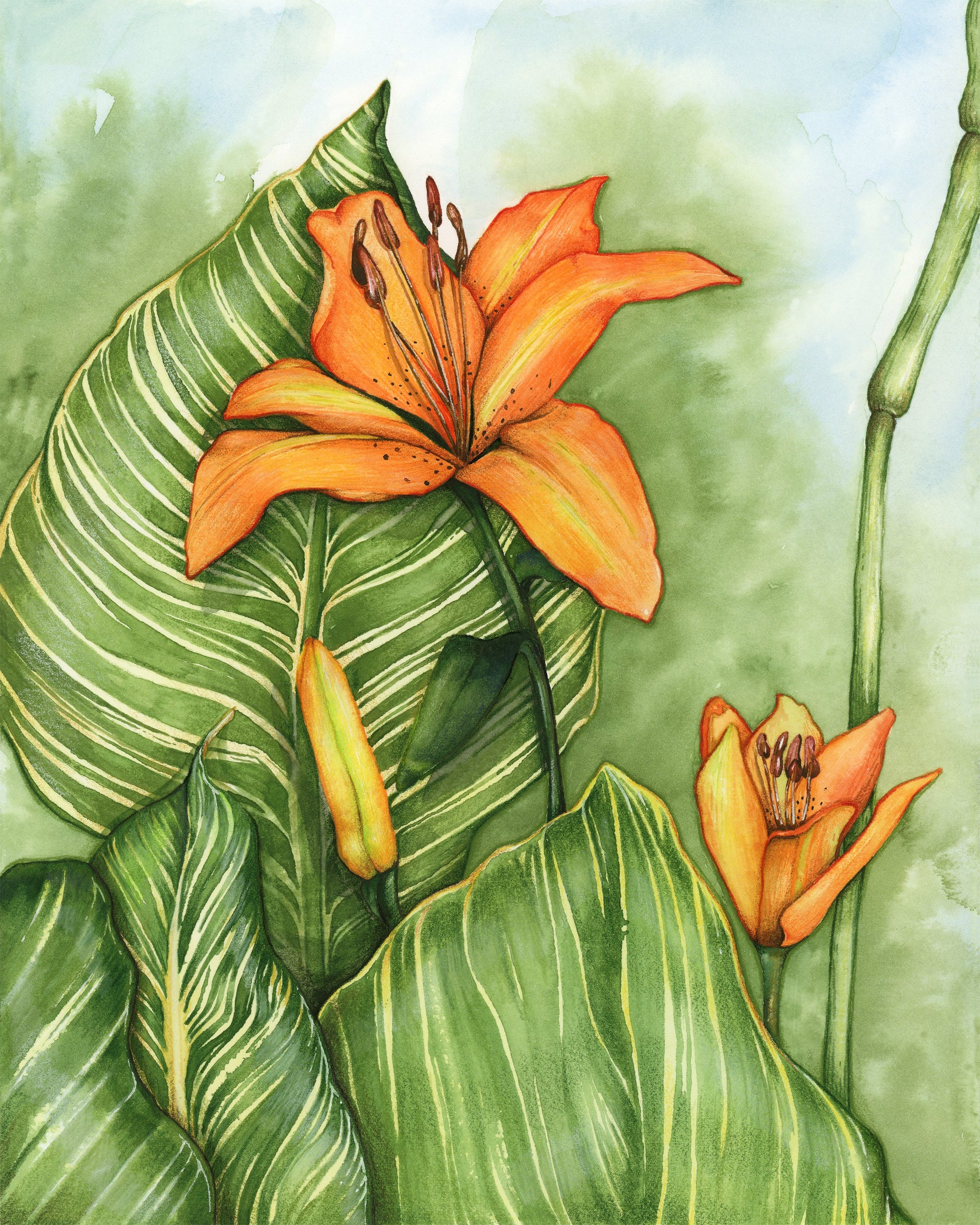 orange lily watercolor painting