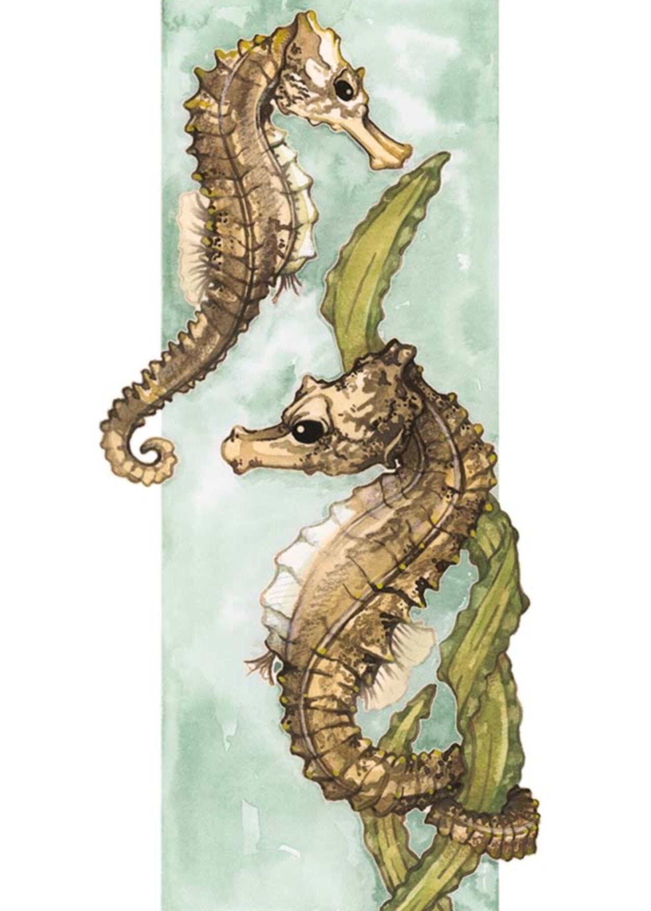 seahorse watercolor painting