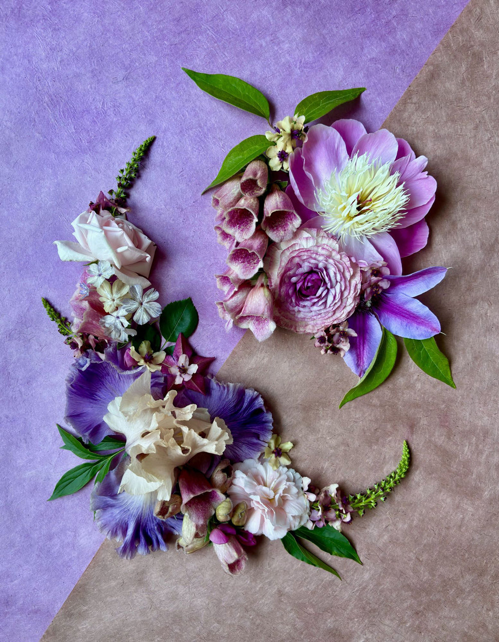 "Equilibrium" by Carissa Rose