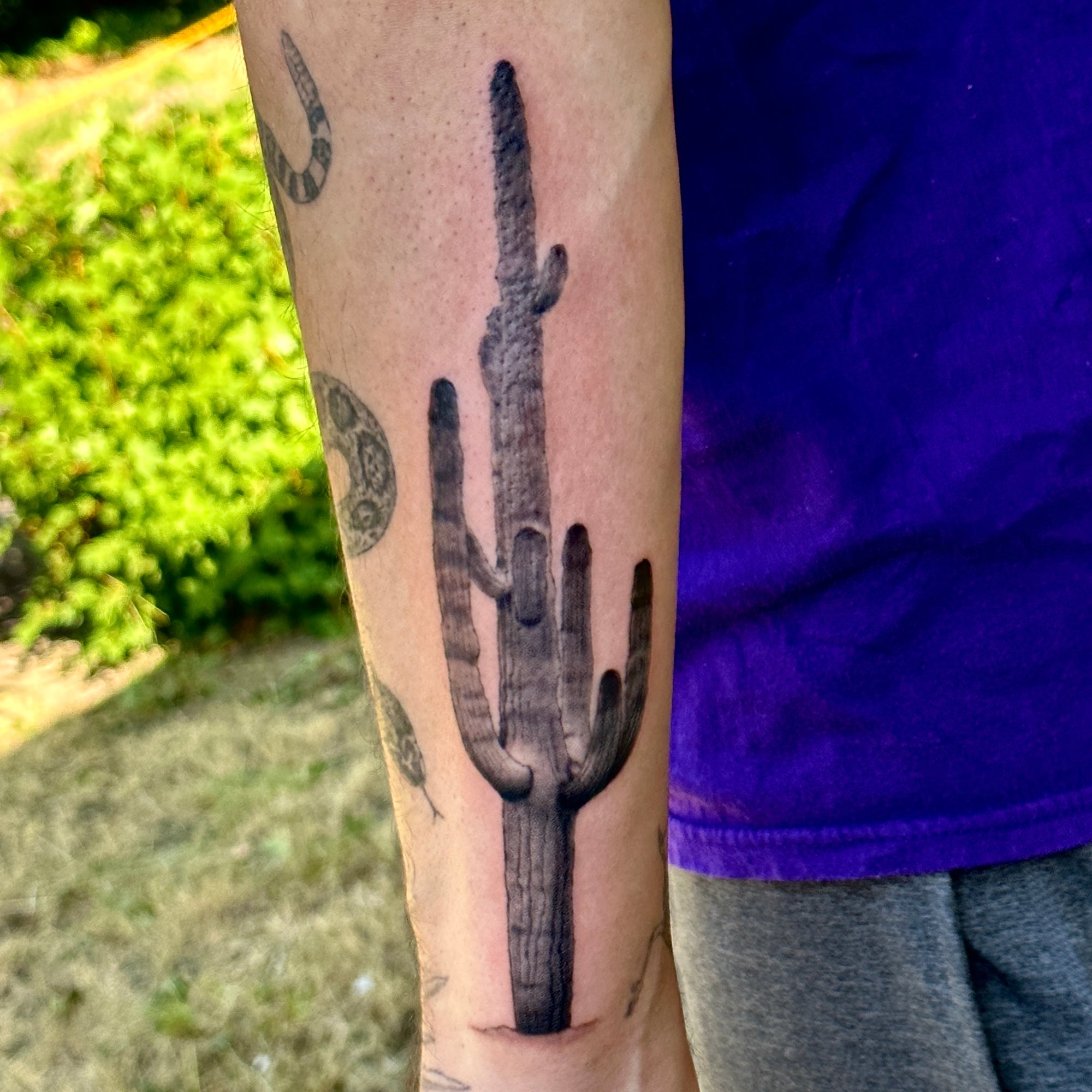 realistic painterly Saguaro tattoo by Danny Schreiber