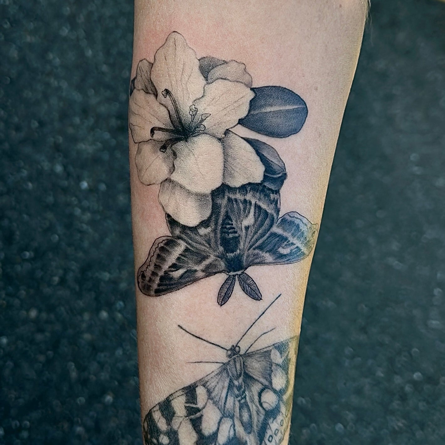 Moth and rhododendron realism tattoo by Danny Schreiber
