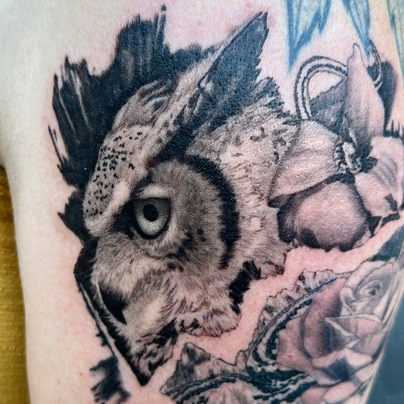 Realistic Owl Portrait with  Snake and Flowers by Danny Schreiber