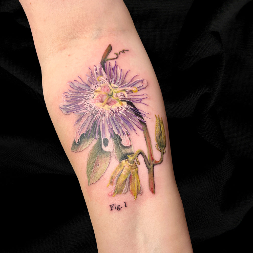 passion flower color realism tattoo by Cass Brown