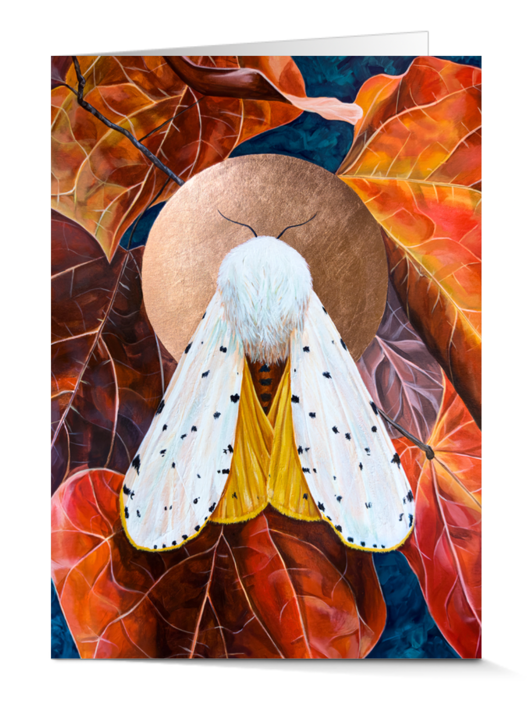 &#39;Transform&#39; Greeting cards