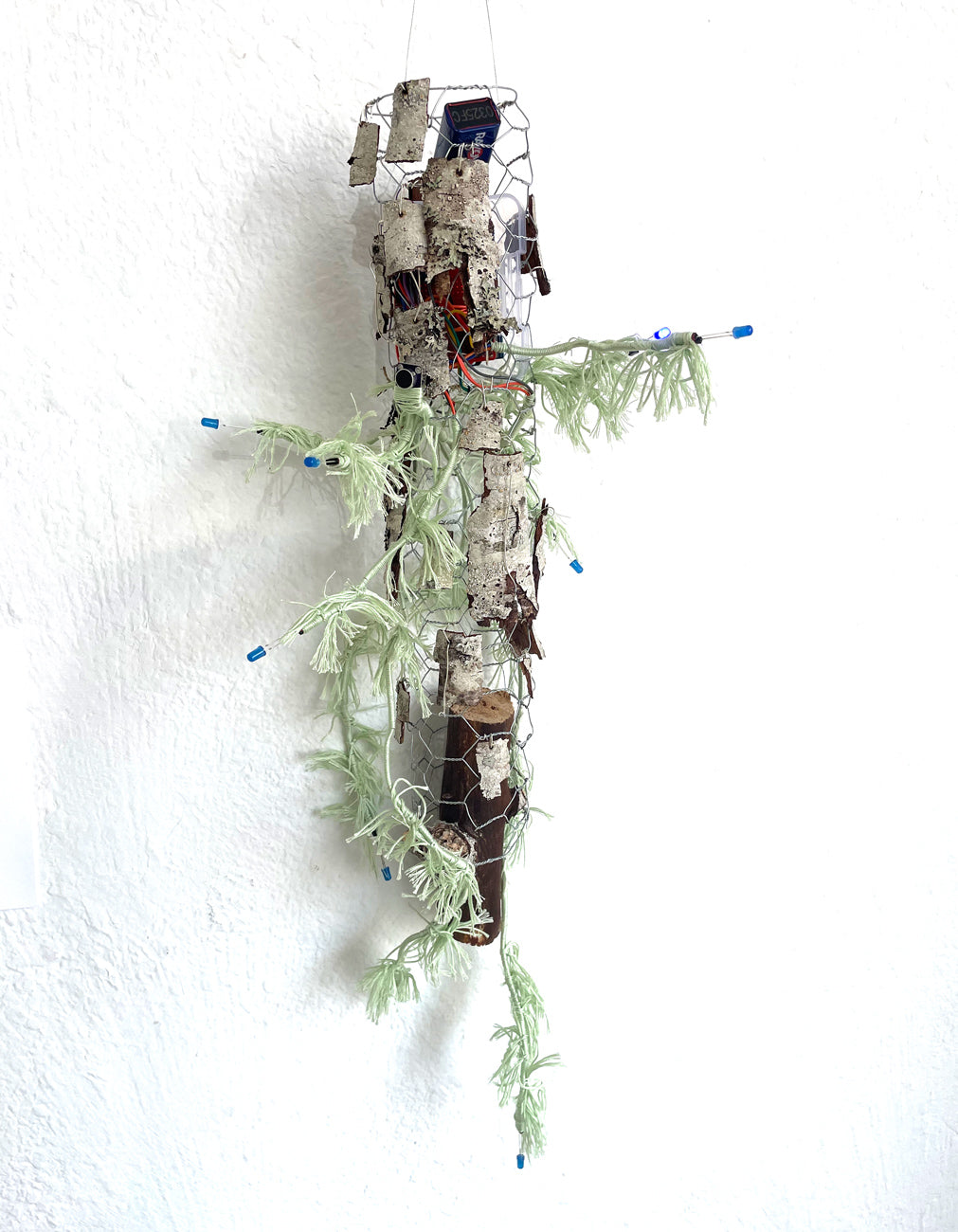 "The Quiet Forest" by Wolfe Erikson