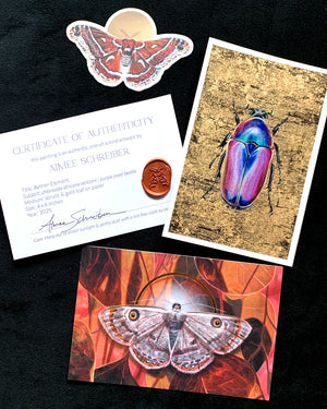 beetle element painting with moth postcard, moth sticker, and certificate of authenticity