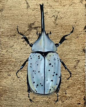 white hercules beetle painting air element
