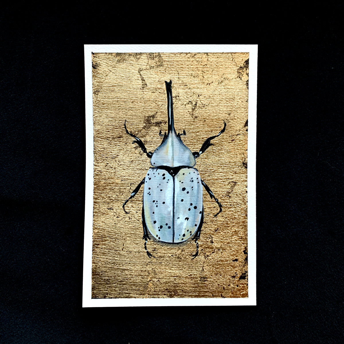 white hercules beetle painting air element