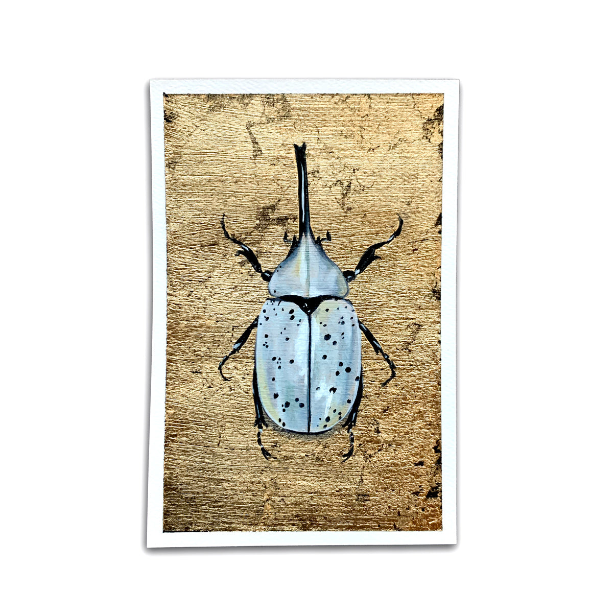 white hercules beetle painting air element