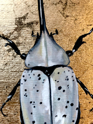 white hercules beetle painting air element detail