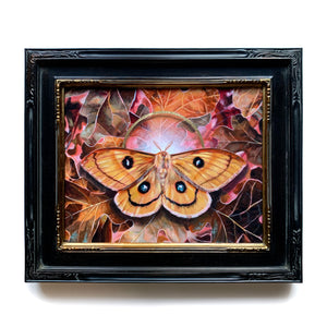 alchemy yellow tau emperor moth painting