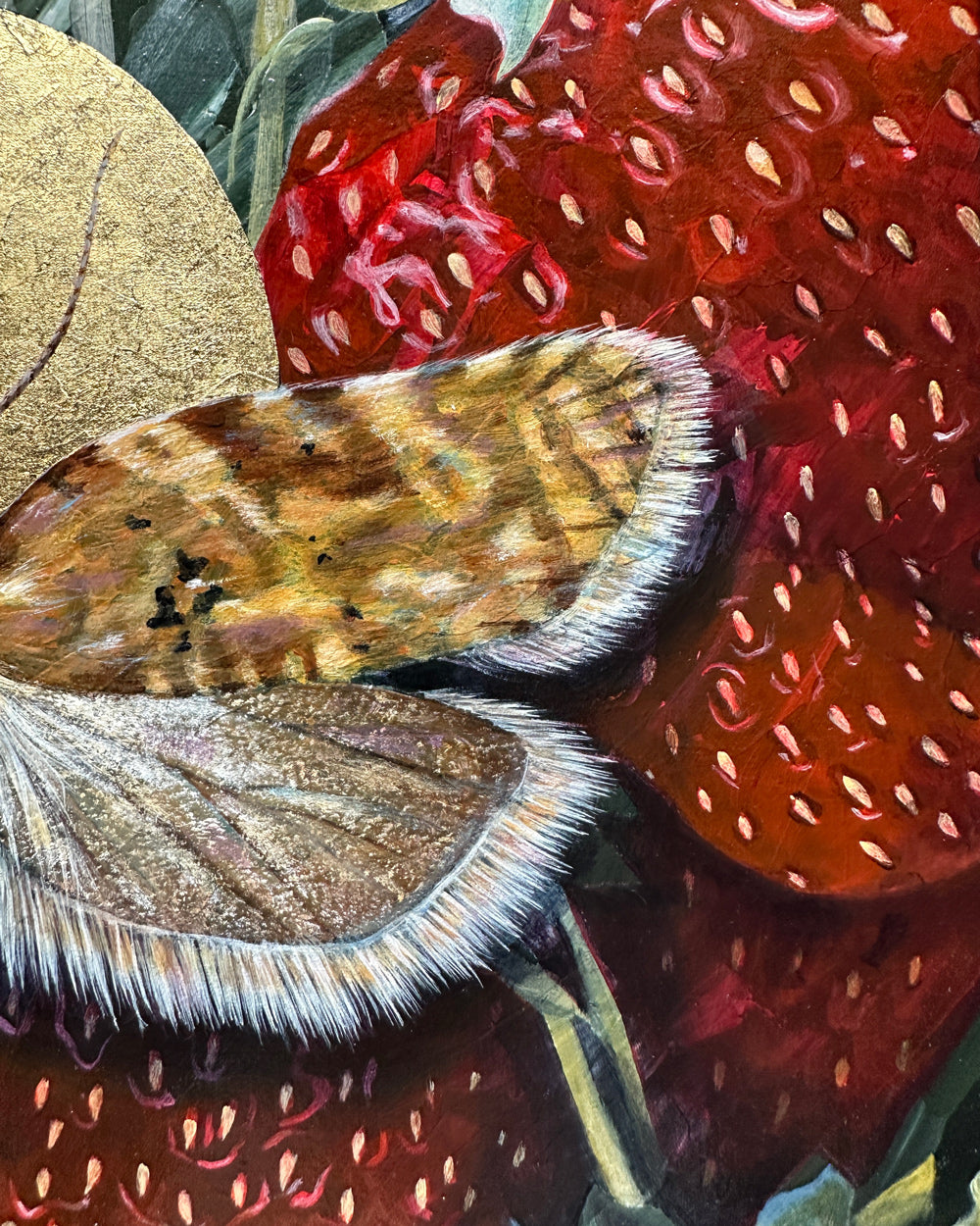 "Allow" Strawberry Tortrix Moth Painting