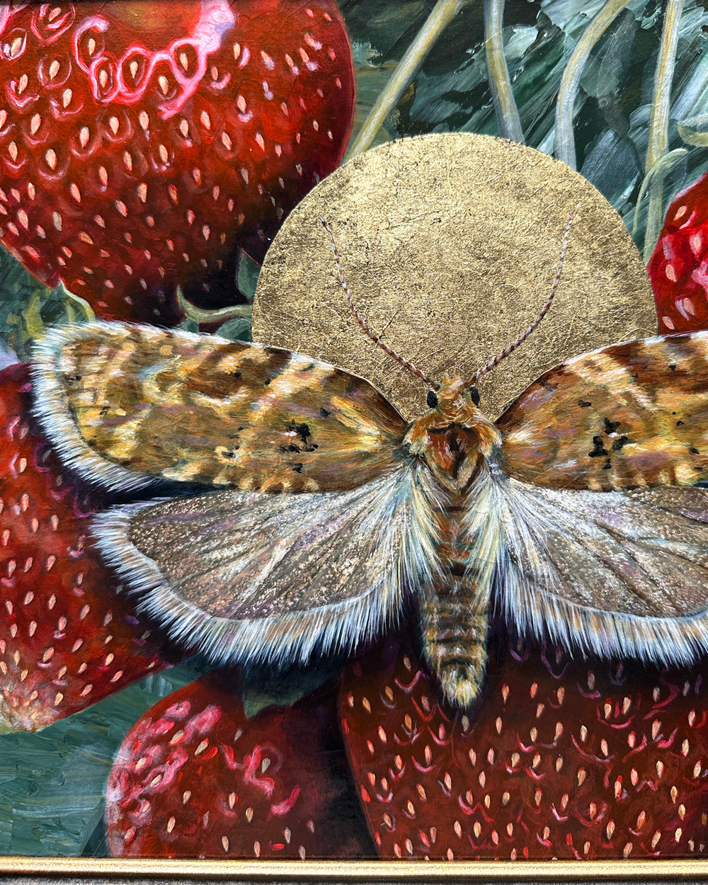 "Allow" Strawberry Tortrix Moth Painting