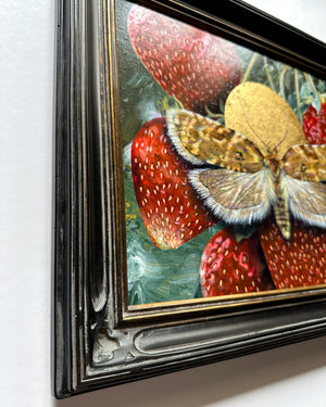 "Allow" Strawberry Tortrix Moth Painting
