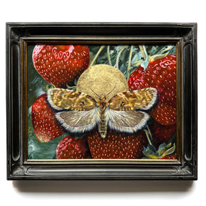 "Allow" Strawberry Tortrix Moth Painting