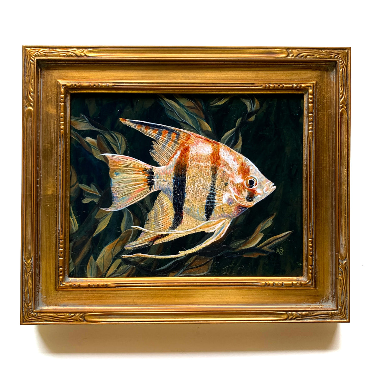 angelfish painting in gold frame