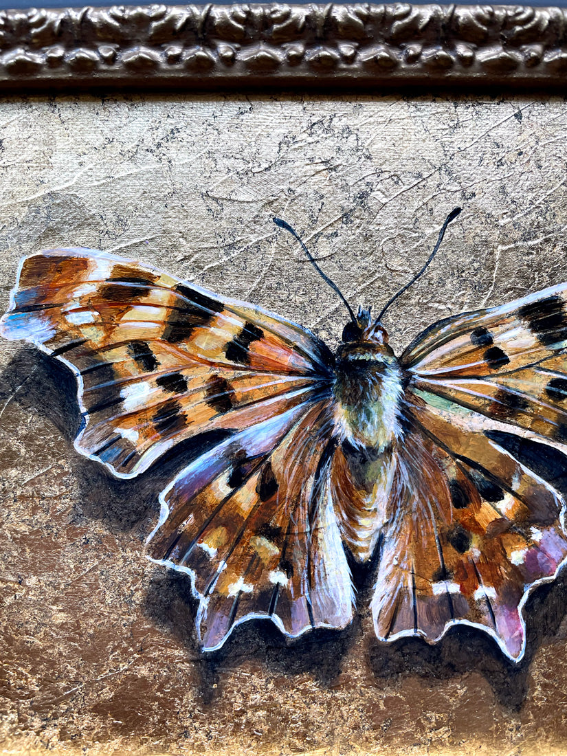 anglewing butterfly painting with gold leaf detail