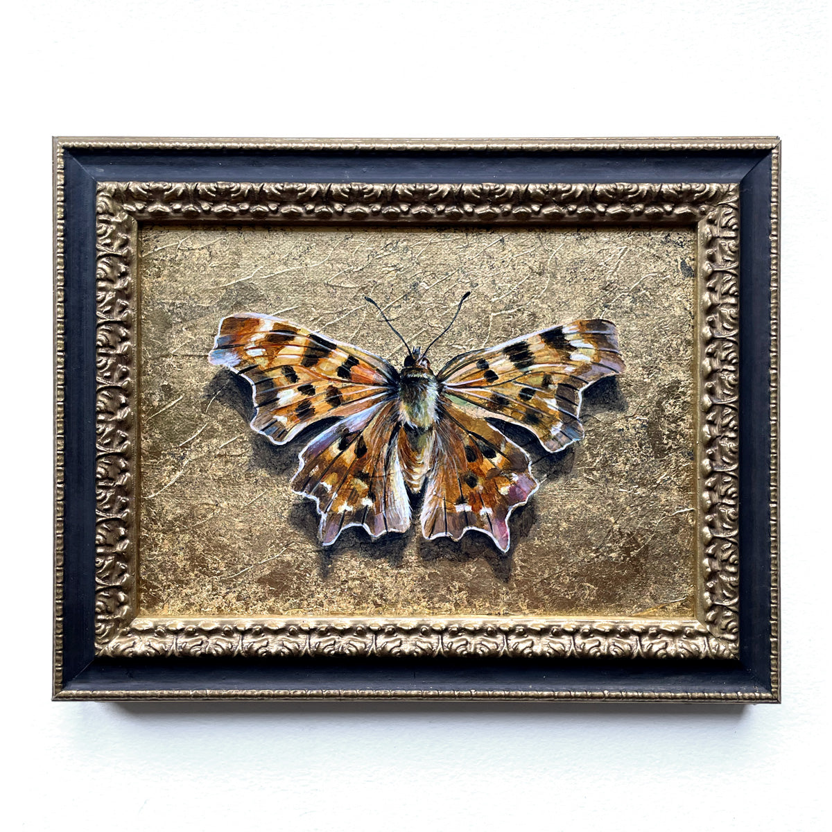 anglewing butterfly painting with gold leaf