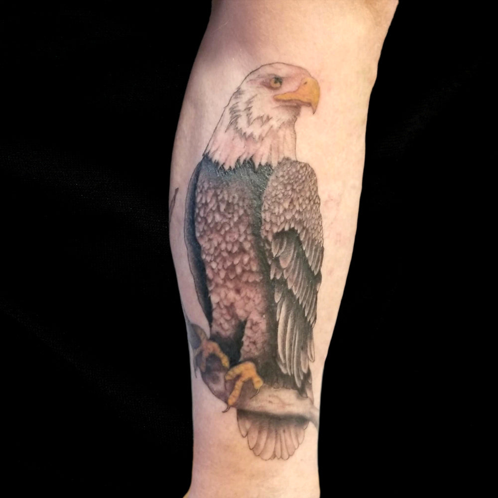 bald eagle color tattoo by Lydia Pitts