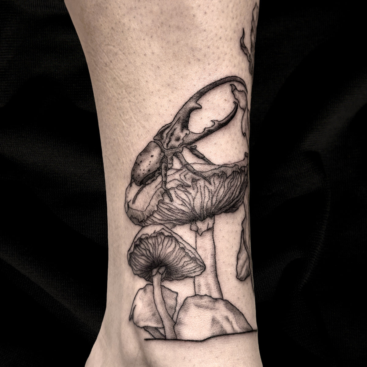 beetle mushroom ankle tattoo by Danny Schreiber