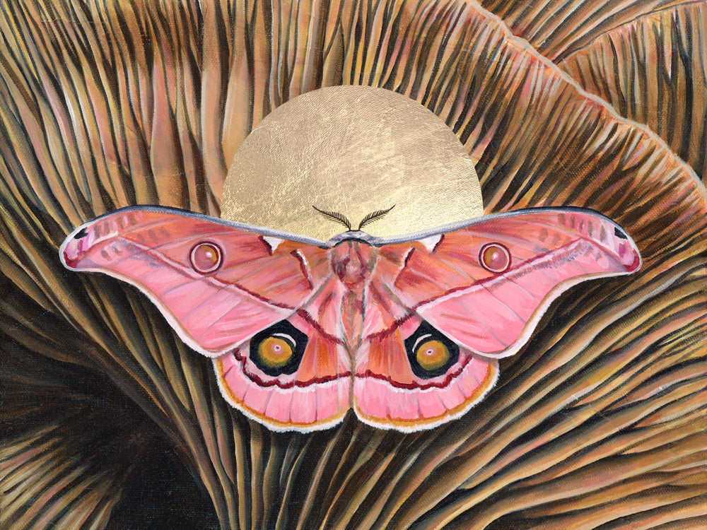 &#39;Belonging&#39; pink emperor gum moth mushroom art print 30 x 40 inches