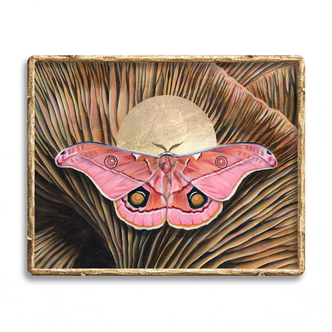 &#39;Belonging&#39; pink emperor gum moth mushroom art print