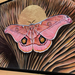 pink emperor gum moth mushroom painting with gold leaf detail